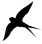 swallow