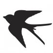 54a1cfc41fb2462530c2404f48c3ddc1--bird-silhouette-swallow