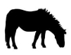 pony-grazing-clip-art-vector_csp26172060