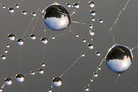 dewithon droplets