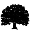 Oak tree silhouette